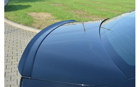 Спойлер Lexus GS