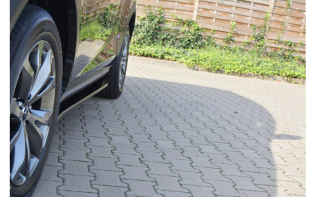 Пороги Lexus NX