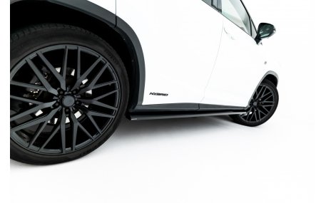 Пороги Lexus RX 2019-2022