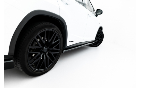 Пороги Lexus RX 2019-2022