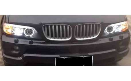 Фары передние BMW X5 E53 2004-2006