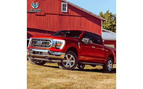 Фары передние Ford F150