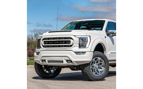 Фары передние Ford F150