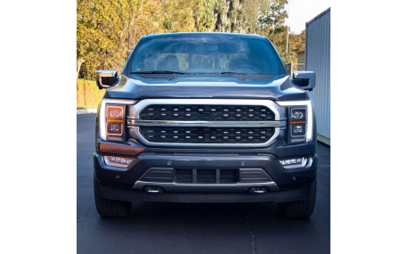 Фары передние Ford F150