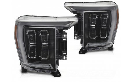 Фары передние Ford F150