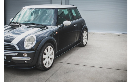 Накладки на пороги MINI (COOPER)