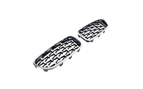 Решетка радиатора BMW 5 (F10)