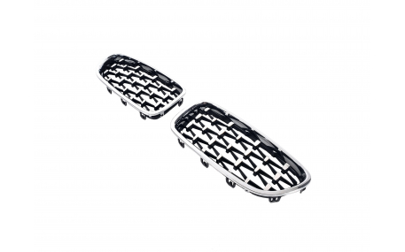 Решетка радиатора BMW 5 (F10)