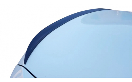 Спойлер BMW 5 (F10)