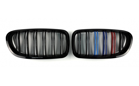 Решетка радиатора BMW 5 (F10)