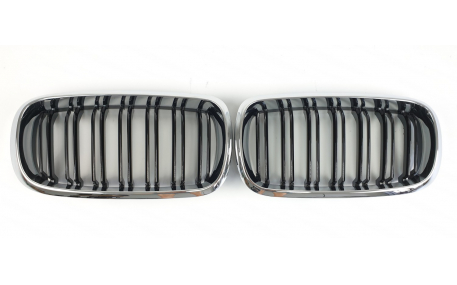 Решетка радиатора BMW X5 (F15)