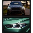 Фары передние BMW X6 (G06)
