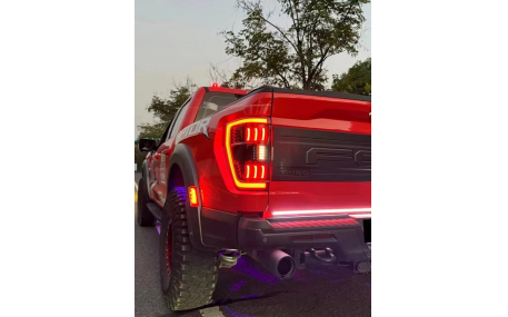 Фонари задние Ford F150