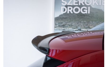 Спойлер Skoda Scala