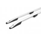 Рейлинги Mercedes Citan