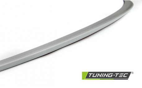 Спойлер BMW 5 (F10)