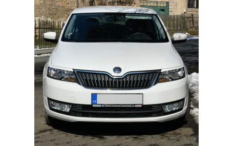 Ресницы Skoda Rapid