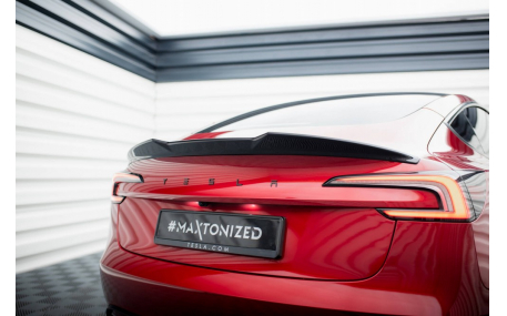 Спойлер Tesla Model 3