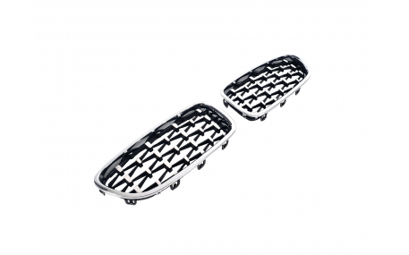 Решетка радиатора BMW 5 (F10)