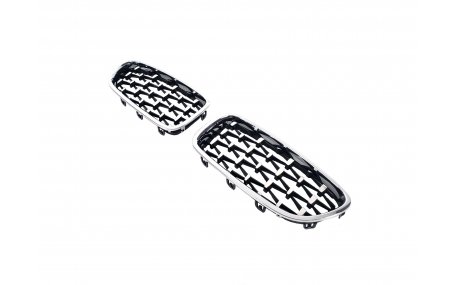 Решетка радиатора BMW 5 (F10)