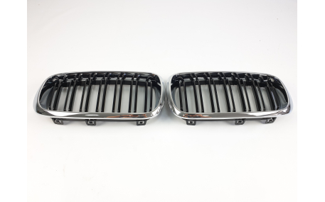Решетка радиатора BMW X5 (F15)