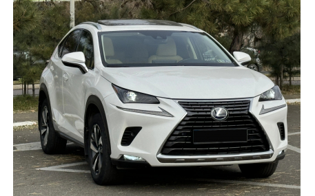 Решетка радиатора Lexus NX 2018-2021