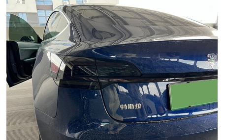 Фонари задние Tesla Model 3