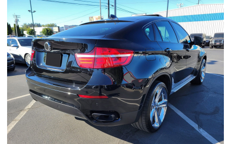 Подножки BMW X6 E71