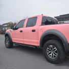 Подножки Ford F150