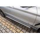 Подножки BMW X3 G01