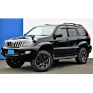Подножки Toyota Land Cruiser Prado 120