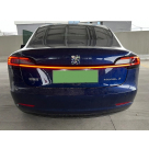 Фонари задние Tesla Model 3